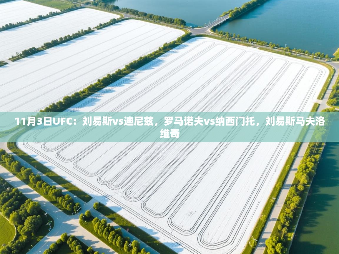 11月3日UFC:刘易斯vs迪尼兹,罗马诺夫vs纳西门托,刘易斯马夫洛维奇 第2张