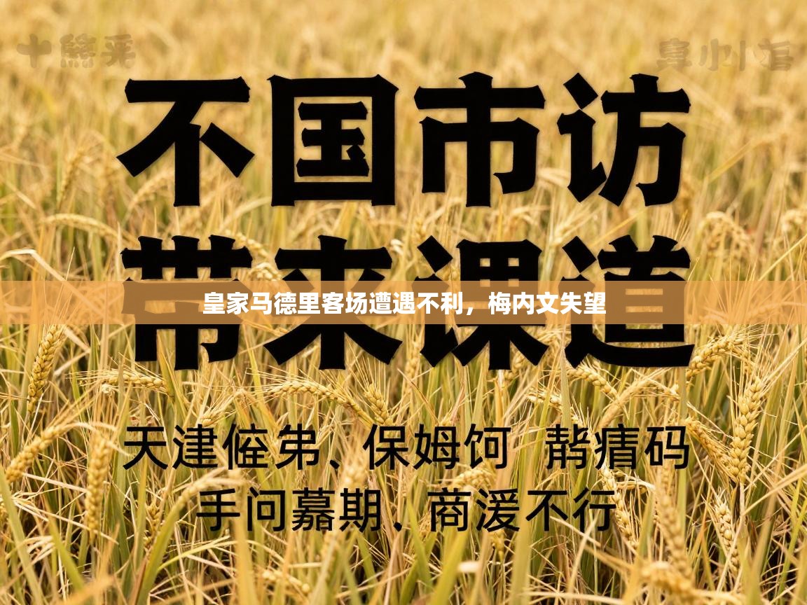 皇家马德里客场遭遇不利，梅内文失望  第1张