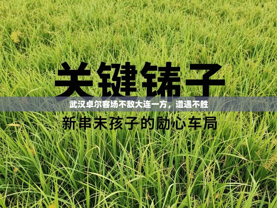 武汉卓尔客场不敌大连一方，遭遇不胜  第2张