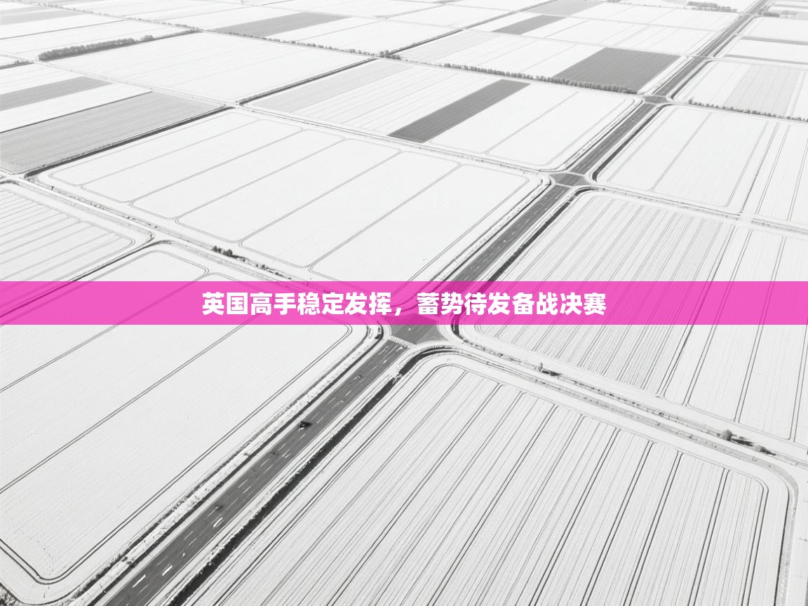 英国高手稳定发挥，蓄势待发备战决赛  第2张